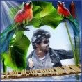 /album/vijay-photo/a1gjhy-101-1-jpg1/